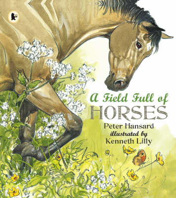 Book cover for A Field Full Of Horses Pbk And Cd