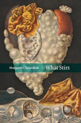 Book cover for What Stirs