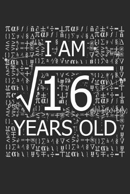 Book cover for I Am 16 Years Old