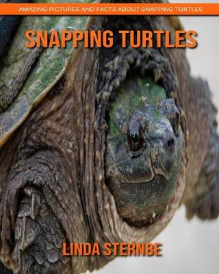 Book cover for Snapping Turtles