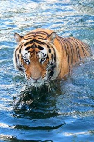 Cover of Tiger Takes a Dip Journal