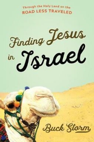 Cover of FINDING JESUS IN ISRAEL