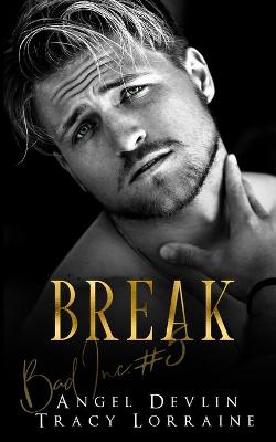 Book cover for Break