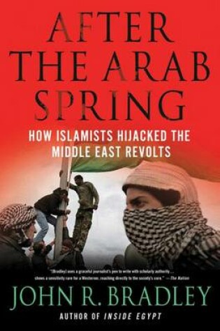 Cover of After the Arab Spring