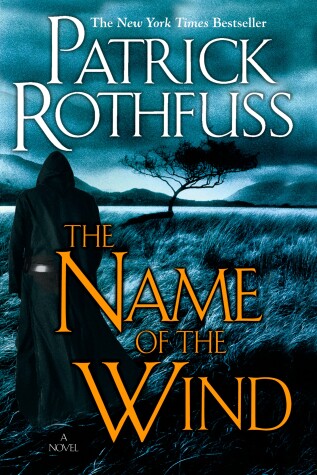 Book cover for The Name of the Wind