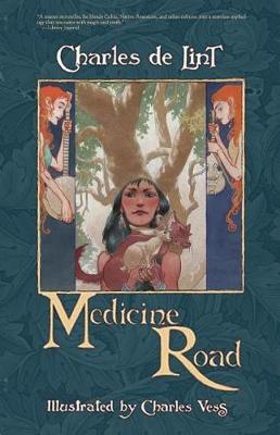 Book cover for Medicine Road