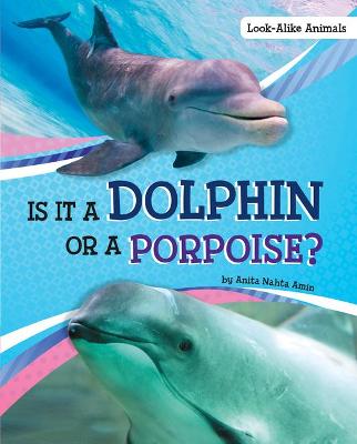 Cover of Is it a Dolphin or a Porpoise