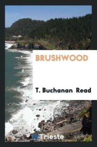 Cover of Brushwood