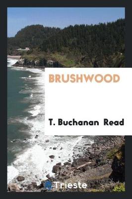 Book cover for Brushwood