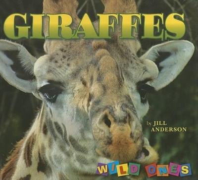 Cover of Giraffes