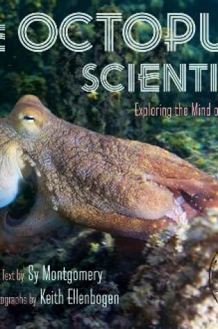 Cover of Octopus Scientists: Exploring the Mind of a Mollusk