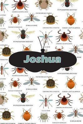 Book cover for Joshua