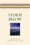 Book cover for Storm Below