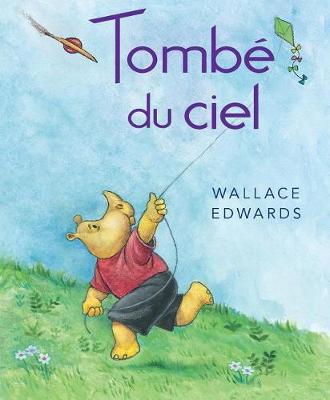 Book cover for Tombé Du Ciel