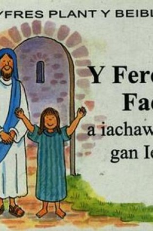 Cover of Cyfres Plant y Beibl: Ferch Fach a Iachawyd gan Iesu, Y