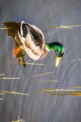 Book cover for Mallard Duck Getting in the Pond Journal