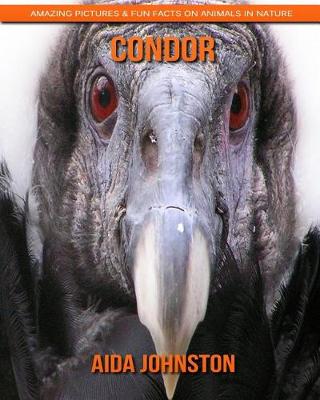 Book cover for Condor