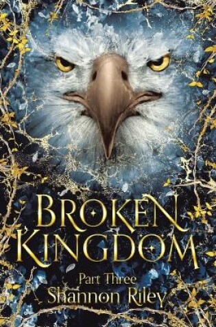 Cover of Broken Kingdom