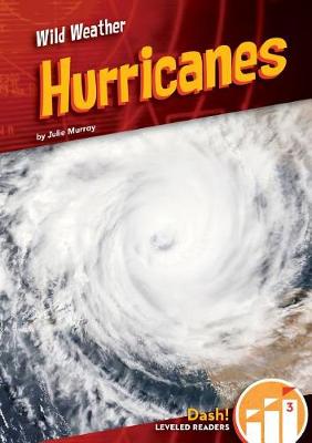 Book cover for Hurricanes