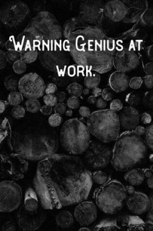 Cover of Warning Genius at work.