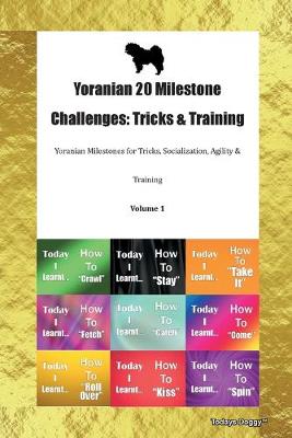 Book cover for Yoranian 20 Milestone Challenges