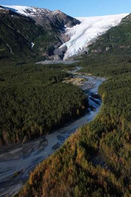 Book cover for Exit Glacier and Exit Creek Journal