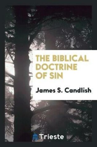 Cover of The Biblical Doctrine of Sin