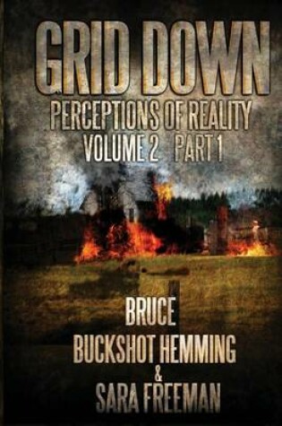Cover of Grid Down Perceptions Of Reality Vol 2 Book 1