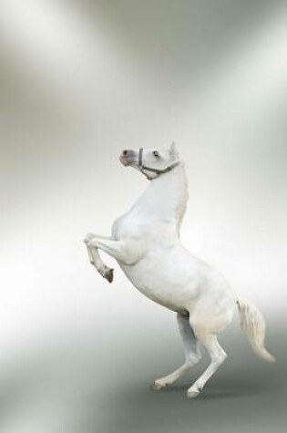 Cover of Rearing White Horse on a Silver Background