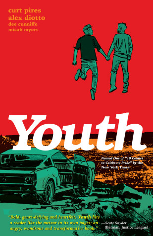 Book cover for Youth