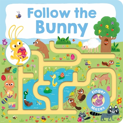 Book cover for Follow The Bunny