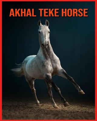 Book cover for Akhal Teke Horse