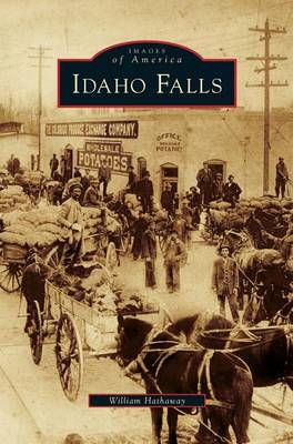 Book cover for Idaho Falls