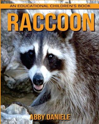 Book cover for Raccoon! An Educational Children's Book about Raccoon with Fun Facts & Photos