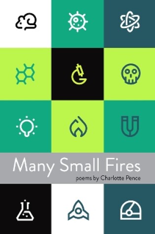 Cover of Many Small Fires