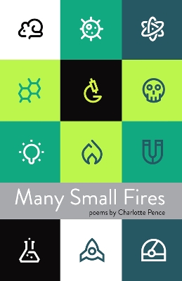 Book cover for Many Small Fires