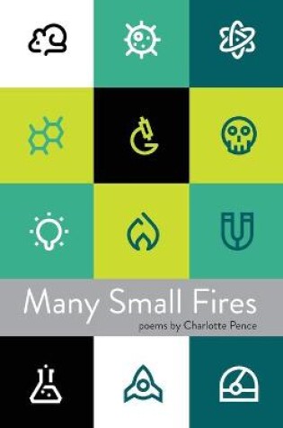 Cover of Many Small Fires