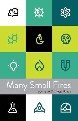 Book cover for Many Small Fires
