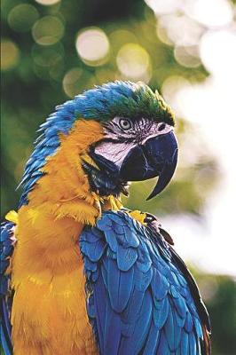 Book cover for Exotic Colorful Parrot