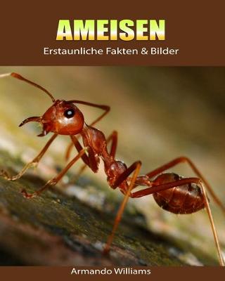 Book cover for Ameisen