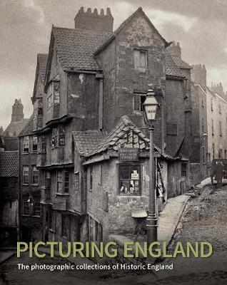 Book cover for Picturing England