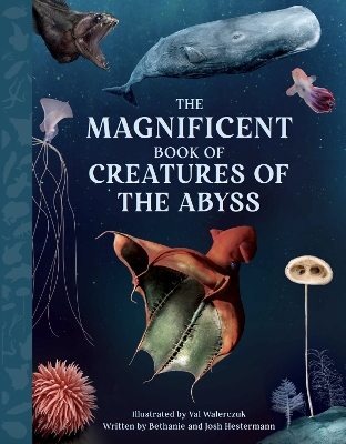 Cover of The Magnificent Book Creatures of the Abyss