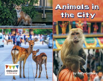 Book cover for Animals in the City