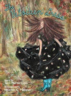 Book cover for The Velveteen Dress