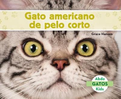 Cover of Gato Americano de Pelo Corto (American Shorthair Cats)