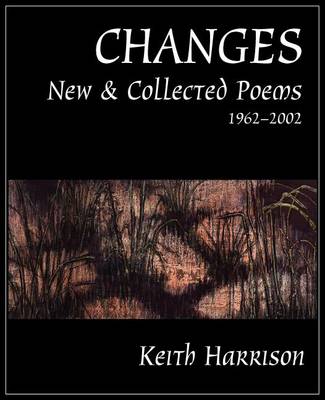 Book cover for Changes