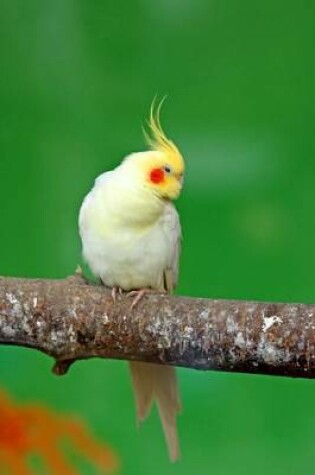 Cover of Perched Cockatiel, Birds of the World