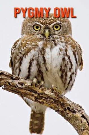 Cover of Pygmy Owl