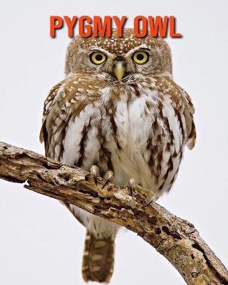 Book cover for Pygmy Owl