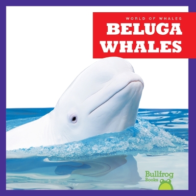 Cover of Beluga Whales